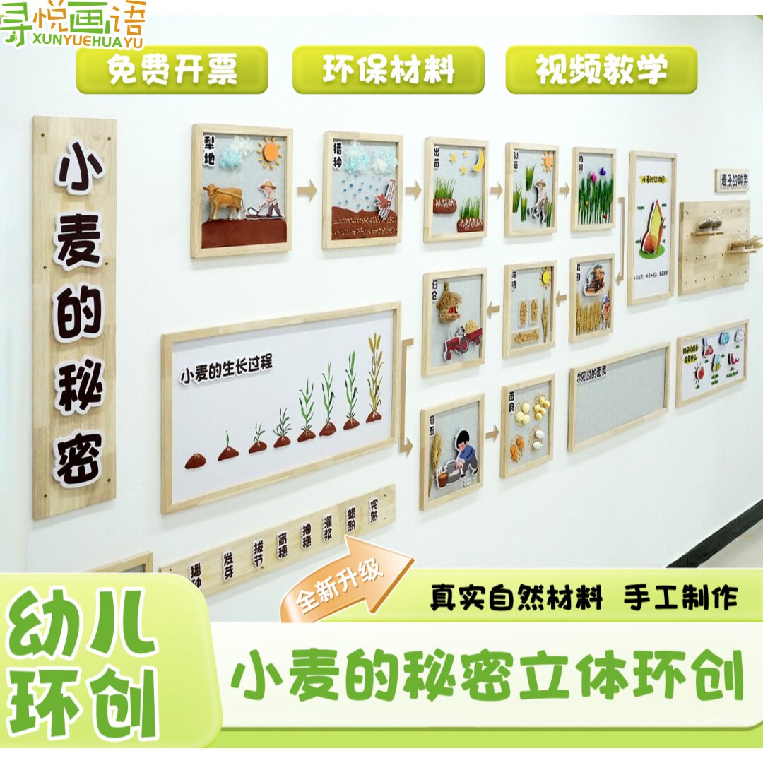 幼儿园环创材料小麦的秘密小麦成长食育主题墙成品自然墙面装饰画