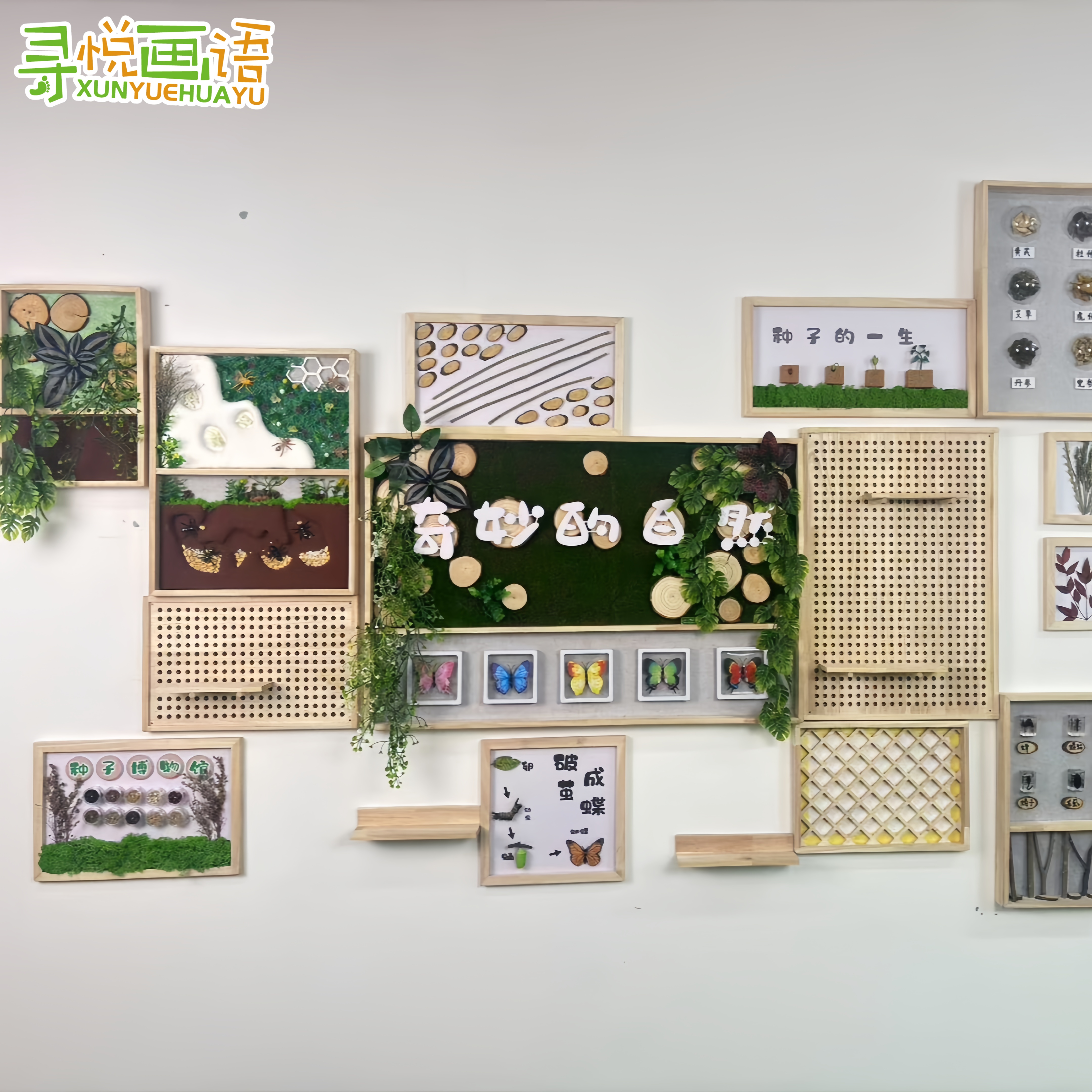 幼儿园环创奇妙的自然主题墙