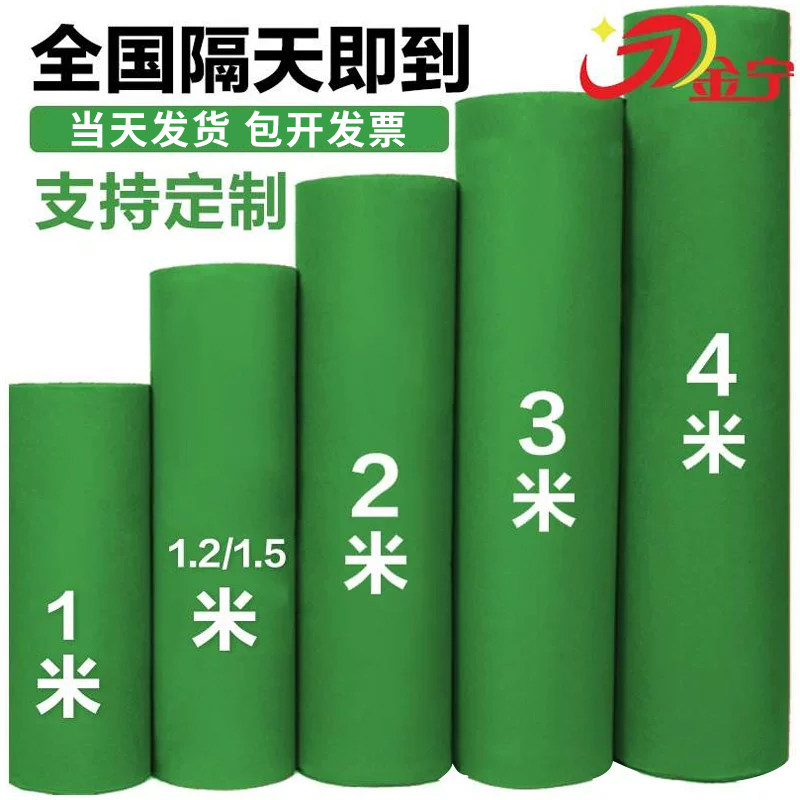 金宁绿色地毯舞台会展加厚满铺室外楼梯婚庆果绿草绿高端防滑地垫