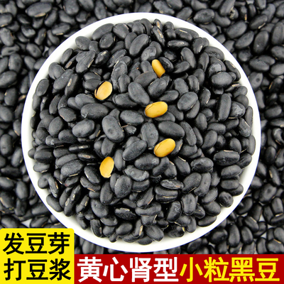 小黑豆新货肾形黄心老品种小黑豆杂粮农家自种可打豆浆做醋泡黑豆