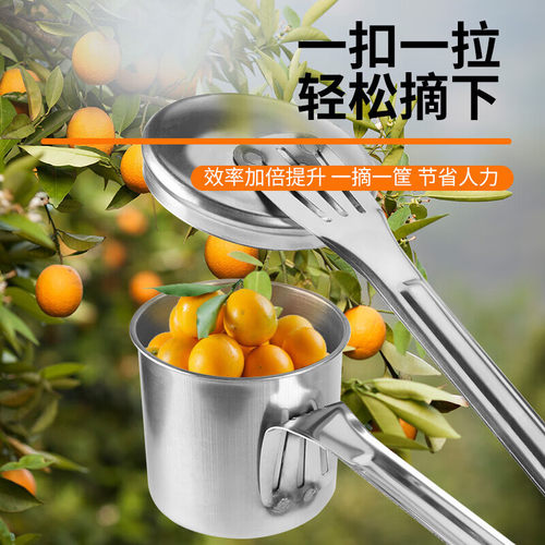 采果神器新型摘果摘枣专用工具野果杨梅枇杷蓝莓山枣不锈钢采收器