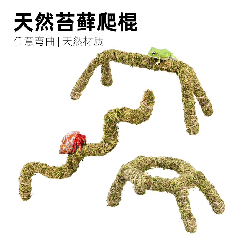 爬宠攀爬天然苔藓棍保湿睫角守宫寄居蟹蛇爬行支架藤条饲养箱造景