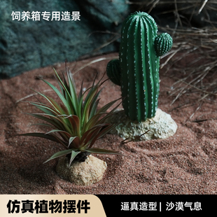 爬宠饲养缸造景仿真植物陆龟守宫鬃狮蜥蜴沙漠仙人掌雨林绿植摆件
