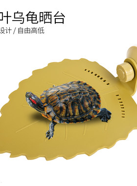 【好物推荐】：乌龟树叶吸盘晒台