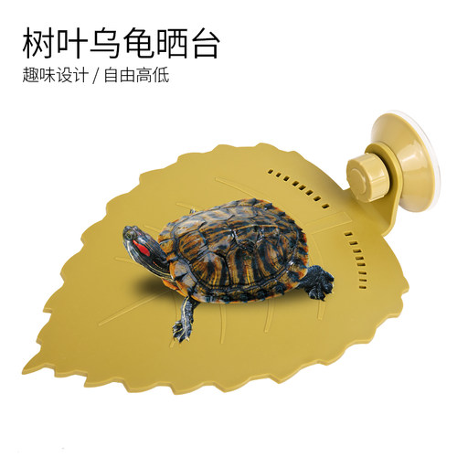【好物推荐】：乌龟树叶吸盘晒台