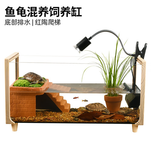 【官方推荐】：鱼龟混养饲养缸