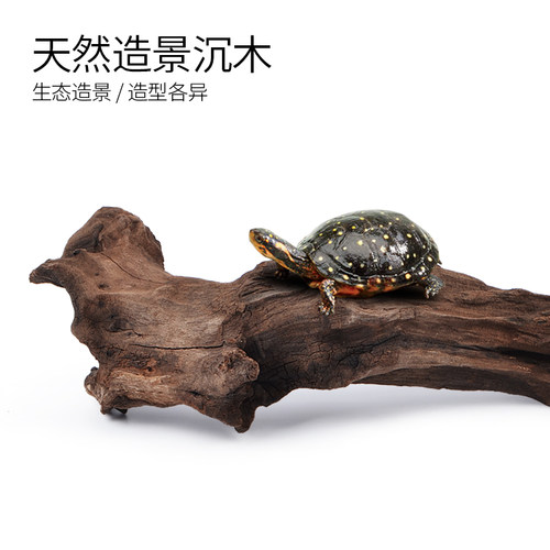 鱼缸造景沉木小中型乌龟缸天然紫柚木晒台木头爬台饲养缸装饰用品