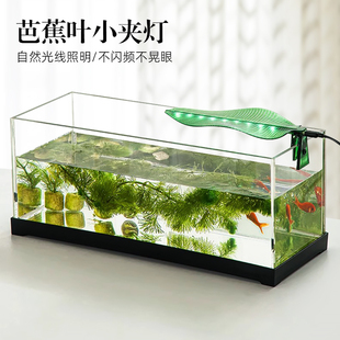 小型生态鱼缸专用LED灯带迷你草缸灯防水节能照明USB迷你水族夹灯