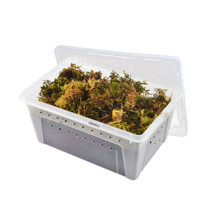 乌龟冬眠专用小窝盒子爬宠椰土苔藓沙土保温垫材巴西草龟过冬用品