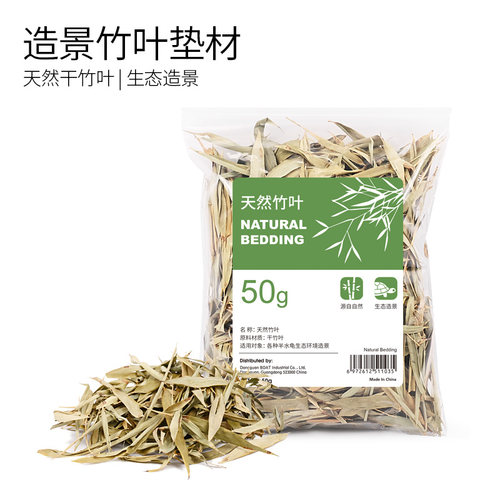 酷爬黄缘半水龟造景干竹叶垫材