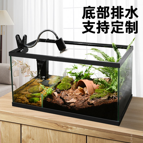 黄缘乌龟造景缸【支持定制】
