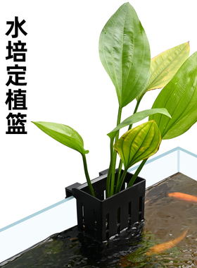 鱼缸边水培挂篮水草种植杯固定篮壁挂式植物固定支架造景装饰配件
