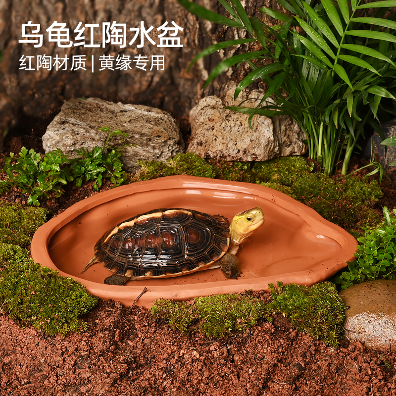 【官方推荐】黄缘乌龟红陶水盆