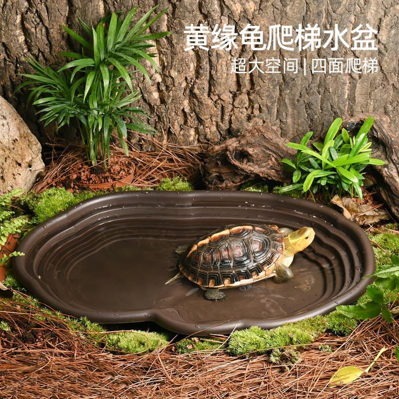 【官方推荐】：黄缘龟饮水泡澡盆
