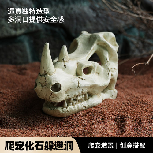 爬宠专用躲避屋守宫蛇蜘蛛蜥蜴洞穴饲养箱水族生态缸造景摆件用品