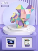 48th-Macaron Color/отправьте в дверь Учебное пособие