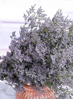 华花匠情人草可以养干花