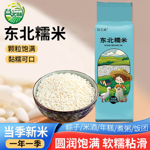 正宗东北江米圆糯米2025年秋收新米黏米包粽子专用农家五谷杂粮