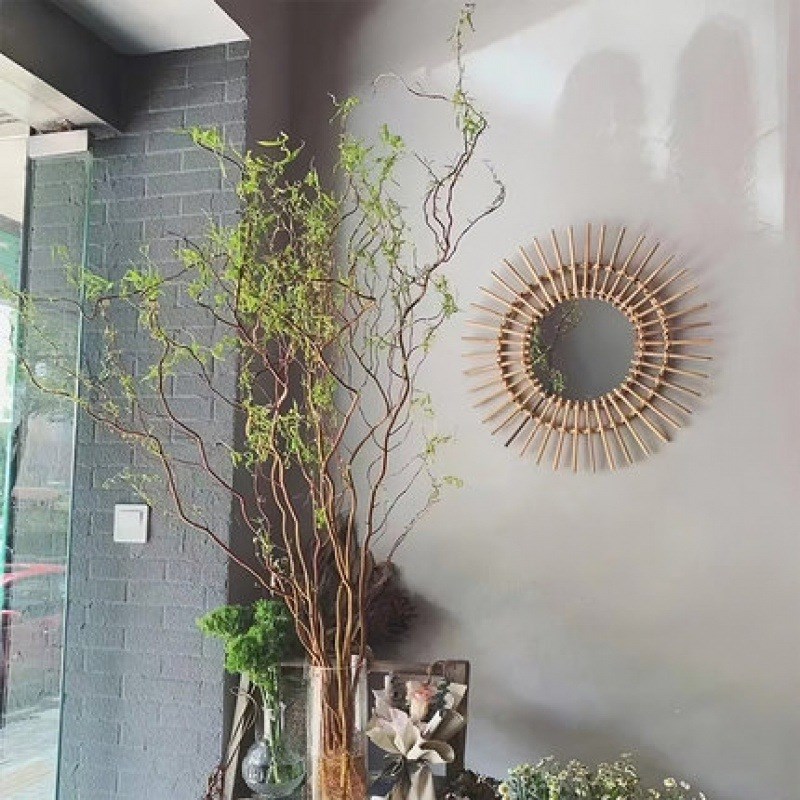银龙柳鲜树枝水养雪枝绿培植真花花枝干花插摆干件室柳内装饰水柳