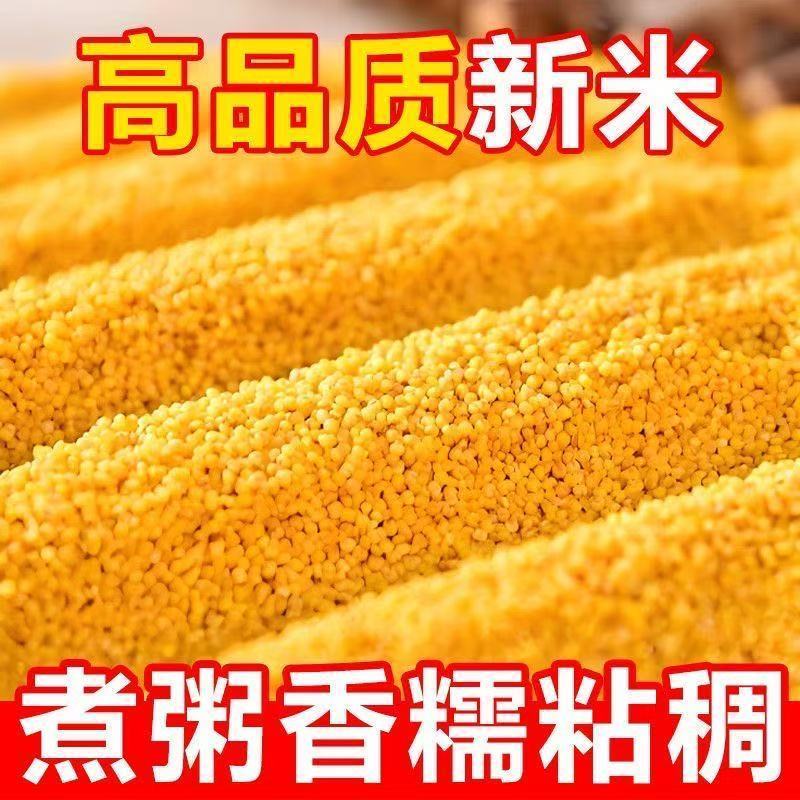 【新货】正宗黄小米新米月子米小米脂便宜食用小米优质农家黄米