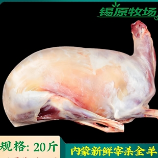 内蒙古全羊整只20斤锡盟羔羊肉新鲜羊排羊腿羊蝎子现杀白条羊 包邮