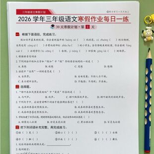 26三年级语文数学寒假作业每日一练30天打卡综合练习本附答案a4纸