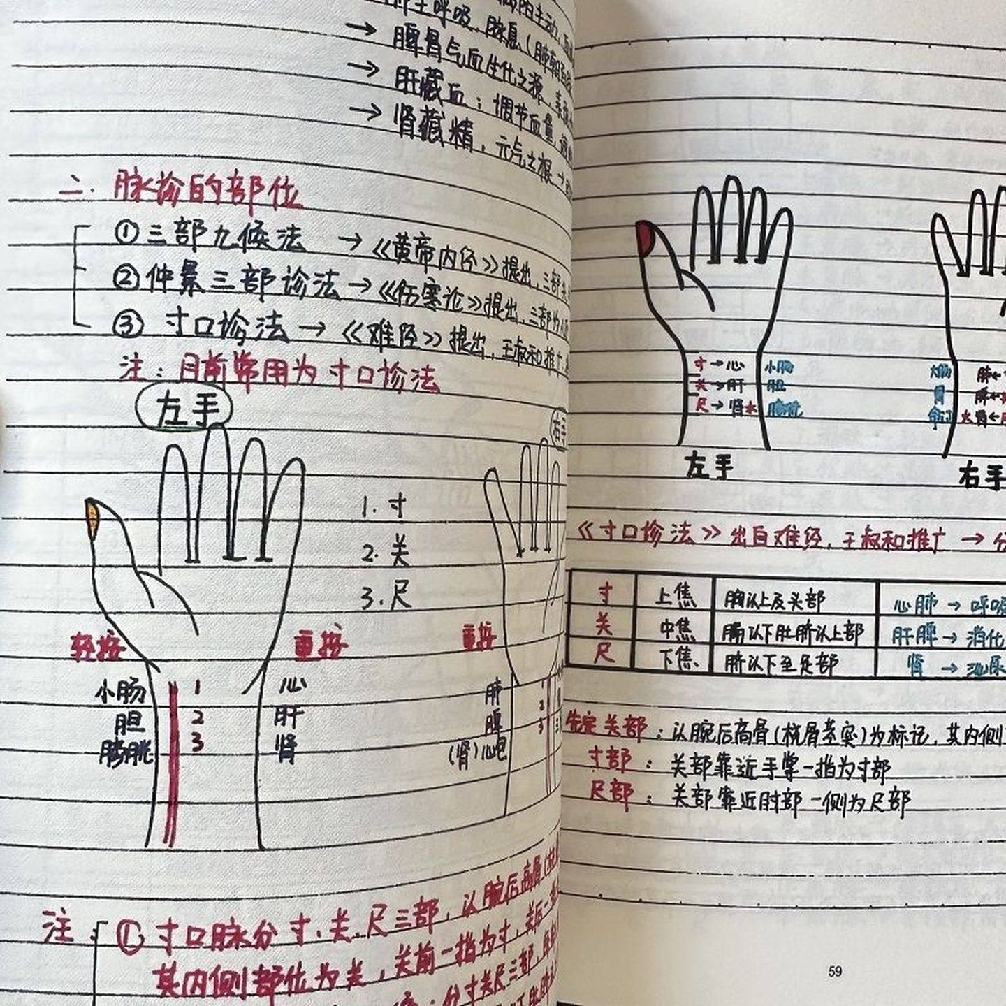新版中医诊断手写笔记本自学考研考编传承医师A5大本成册记事本,文具电教/文化用品/商务用品,课业本/教学用本,淘宝优惠券,粉丝福利购,淘宝优惠卷