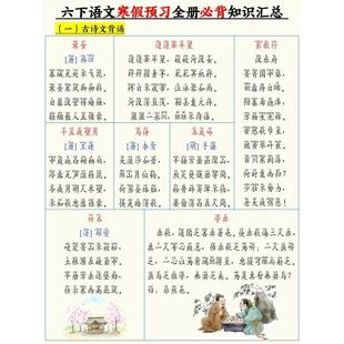 新版寒假预习六年级下册语文必背知识点总结十三大高频考点汇总彩