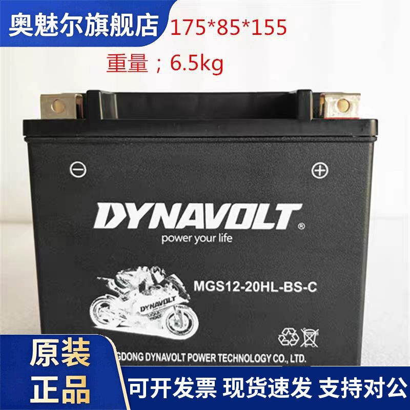 适用金翼1800电瓶哈雷肥仔戴娜长江650侉子庞巴迪摩托艇12v20猛狮电池