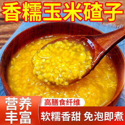 淘米香正宗东北香糯玉米碴米饭伴侣当季新米小碴子玉米粘碴子煮粥