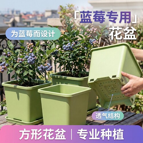 方形控根盆蓝莓大号大口径方形青山透气控根塑料加仑花盆家用加厚