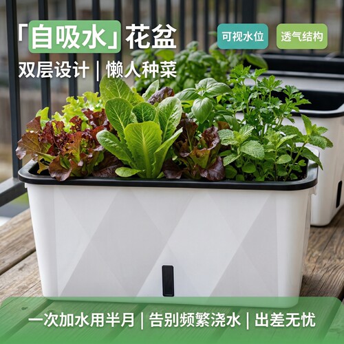 阳台种菜盆长方形懒人自吸水塑料种菜专用盆家庭蔬菜草莓种植盆大