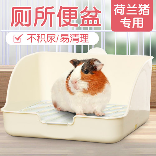 荷兰猪专用厕所大号宠物便盆用品