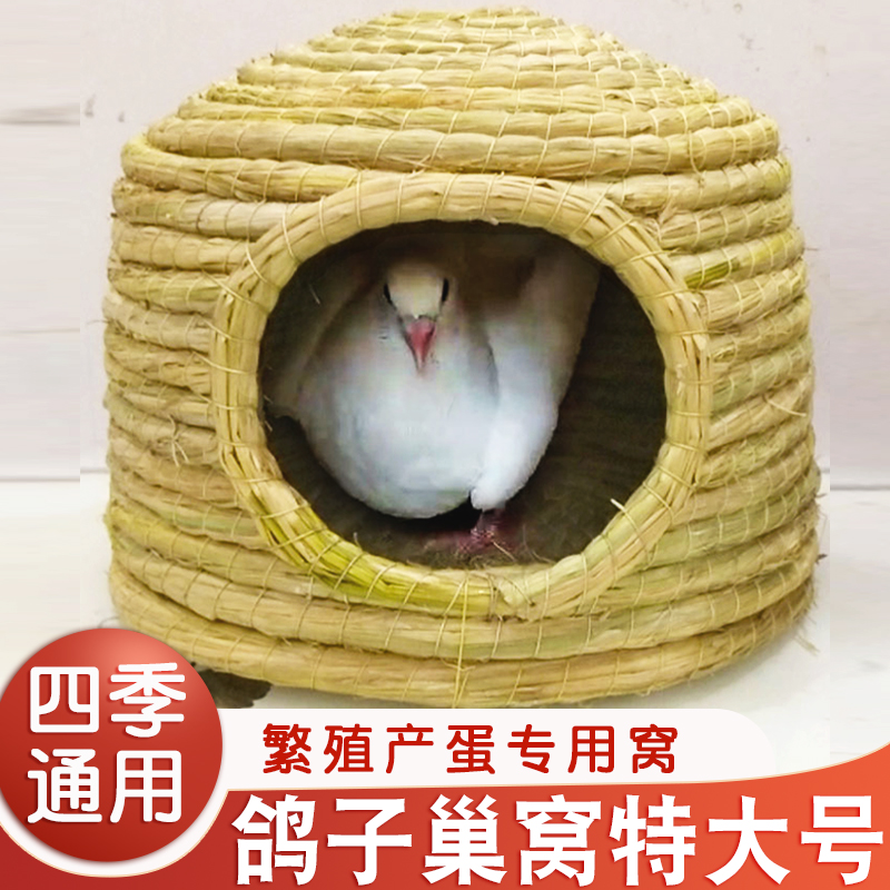 鸽子巢窝特大号产蛋窝繁殖专用