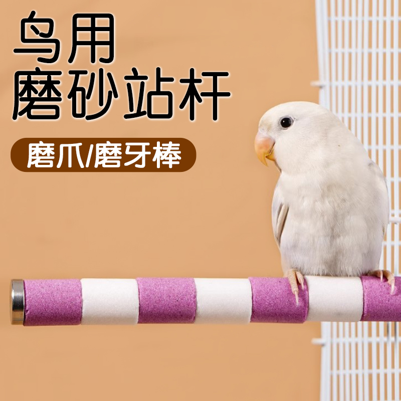 鸟用磨砂站杆可水洗拆卸拉屎站棍
