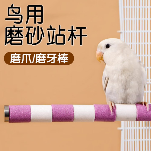 鸟用磨砂站杆可水洗拆卸拉屎站棍