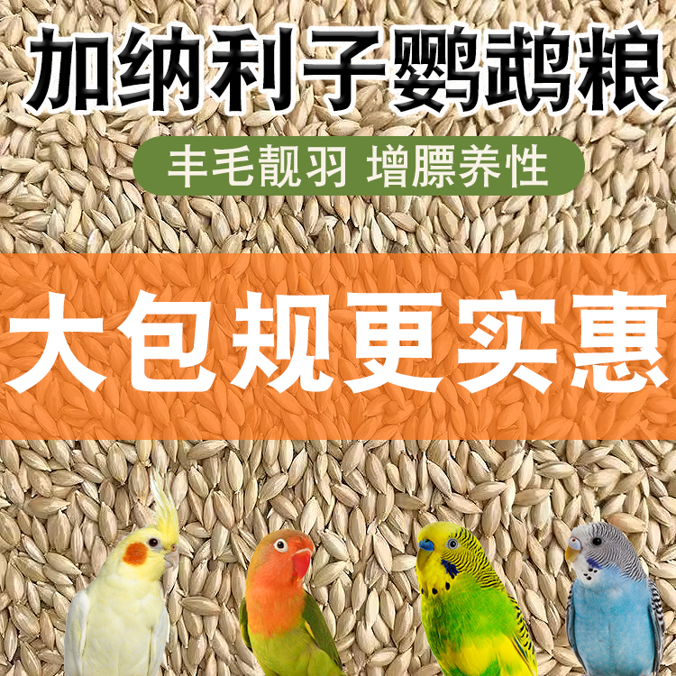 加纳利子鹦鹉粮鸟食谷子带壳鸟粮