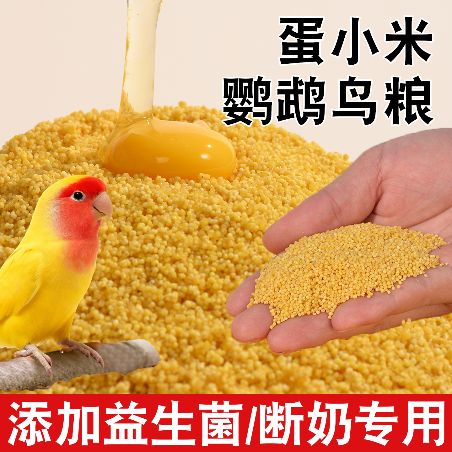 蛋小米鹦鹉鸟粮断奶期繁殖营养