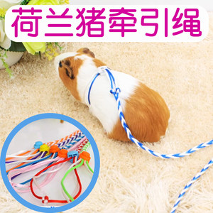 荷兰猪牵引绳仓鼠松鼠兔子专用
