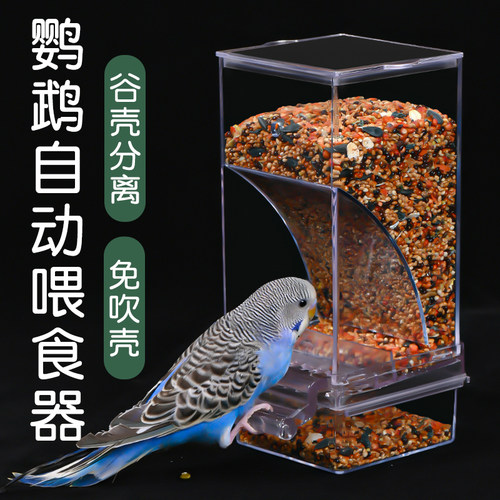 鹦鹉自动喂食器谷壳分离防溅防撒