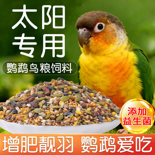 小太阳鹦鹉鸟粮专用粮食饲料鸟食