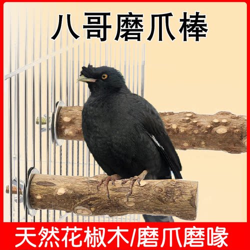 八哥磨爪棒专用站杆玩具磨嘴器
