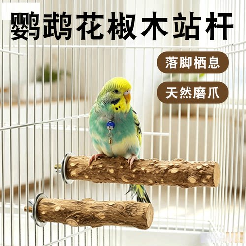 鹦鹉花椒木站杆磨爪棒睡觉木棍