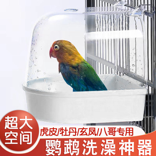 鹦鹉洗澡神器洗澡盆牡丹珍珠专用