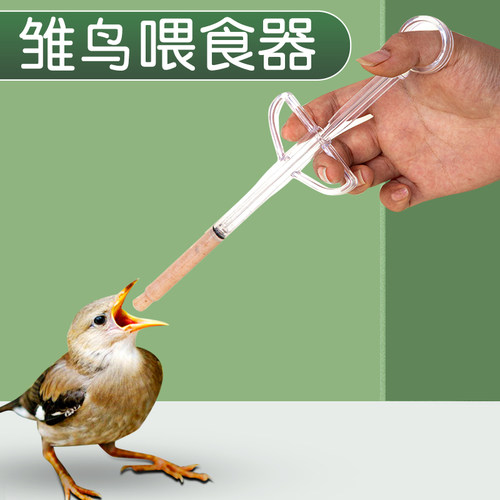 雏鸟幼鸟喂食器人工喂奶专用