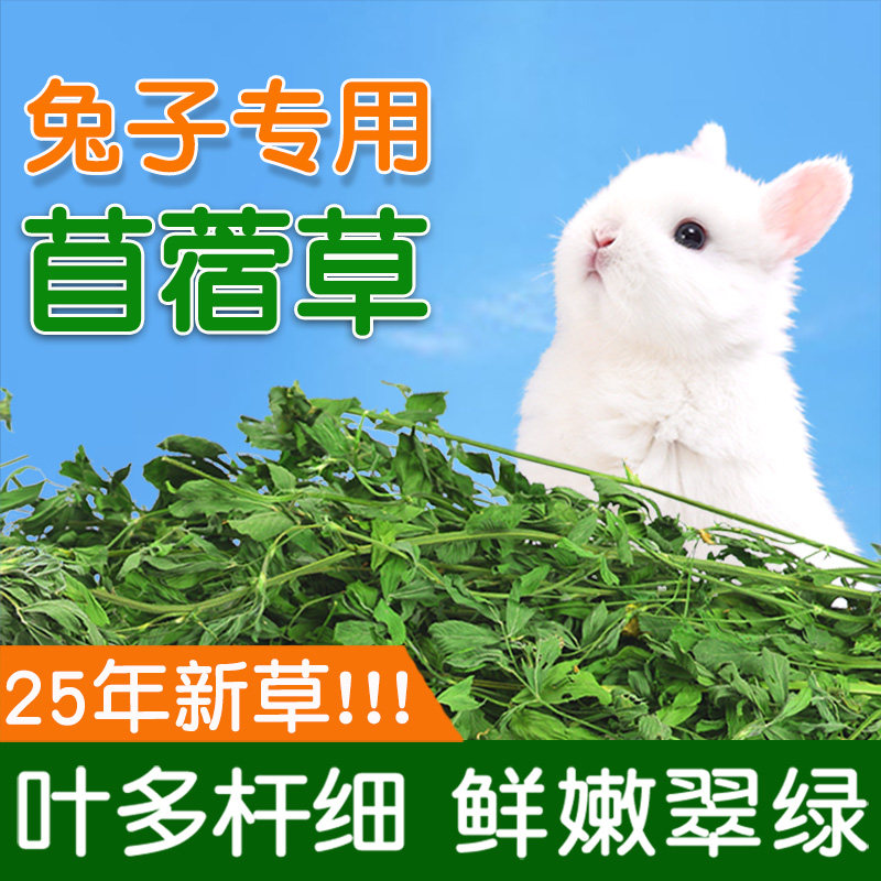 兔子食用草紫花苜蓿草豚鼠吃的兔粮饲料干牧草荷兰猪专用苜宿草料,宠物/宠物食品及用品,兔兔主粮,淘宝优惠券,粉丝福利购,淘宝优惠卷