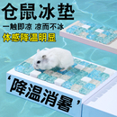 金丝熊小仓鼠冰垫专用夏天散热神器降温板宠物兔子龙猫冰屋专用品