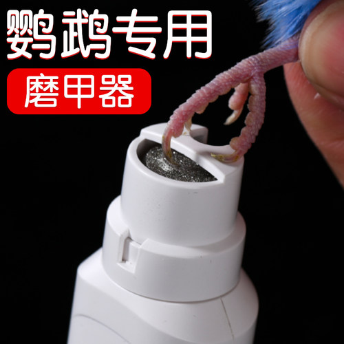 鹦鹉磨爪器专用指甲打磨器