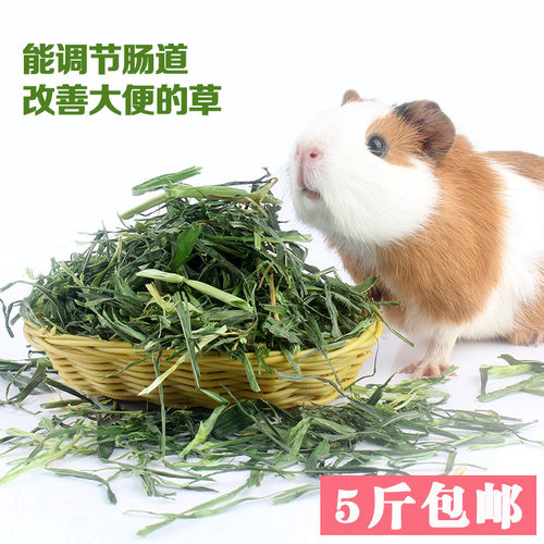 大麦草段高纤维养兔豚鼠吃的250g