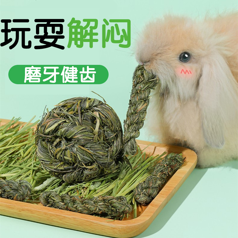 兔子荷兰猪龙猫解闷玩具磨牙零食